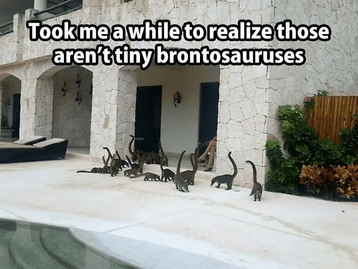 50 Funniest Dinosaur Memes For People With A Prehistoric Sense Of Humor