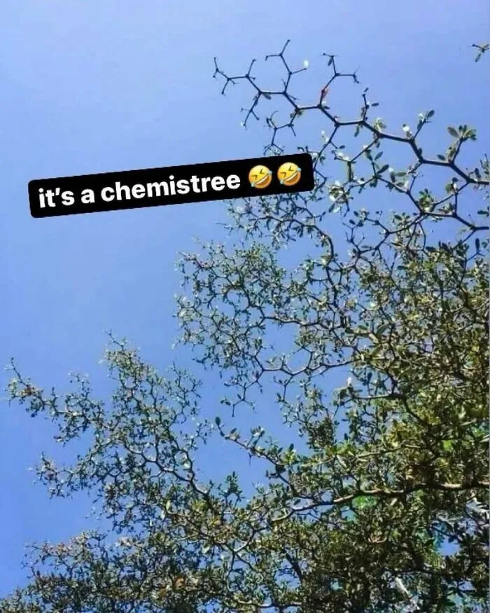 35 Scientifically Proven Memes For Those With An Intellectual Sense Of Humor