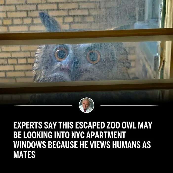 50 Funny Memes That Are Like Witnessing A Dumpster Fire You Can’t Stop Laughing At