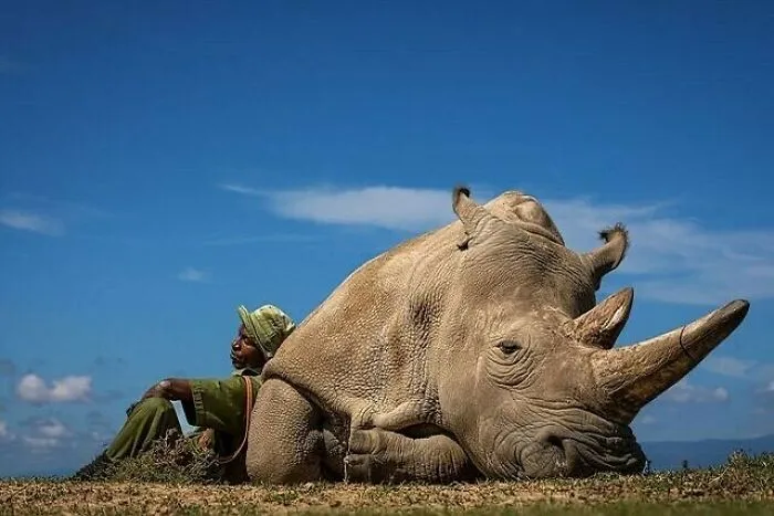 50 Fascinating History Facts And Pics To Leave You Intrigued