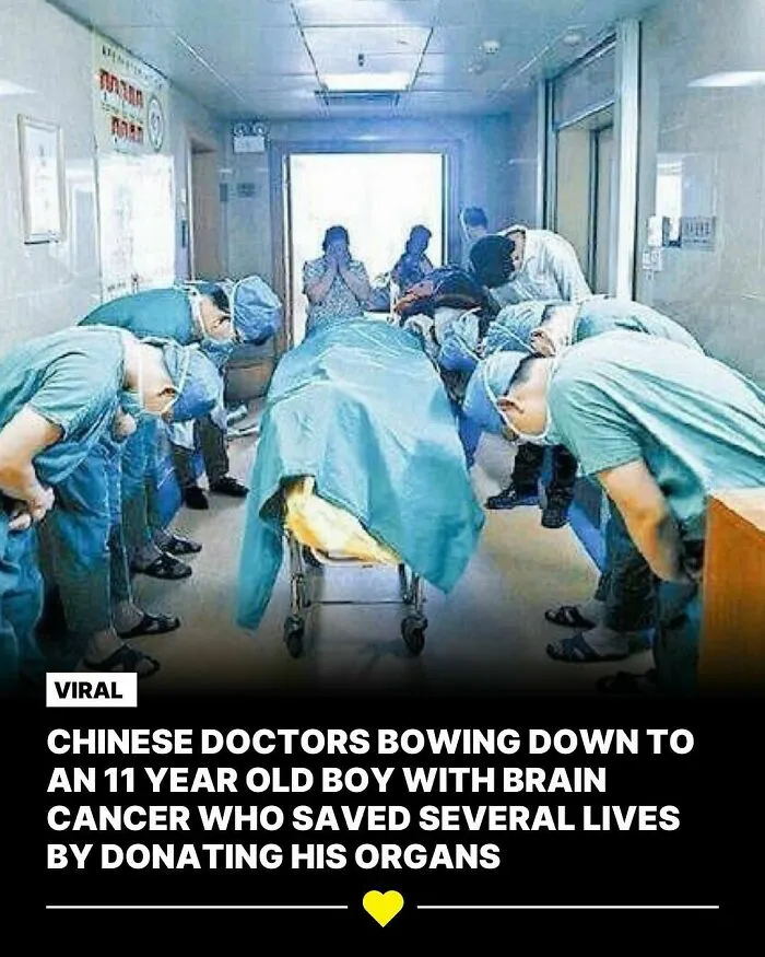 If You Feel Like The World Is Going To Hell, These 50 Positive Stories May Change Your Mind
