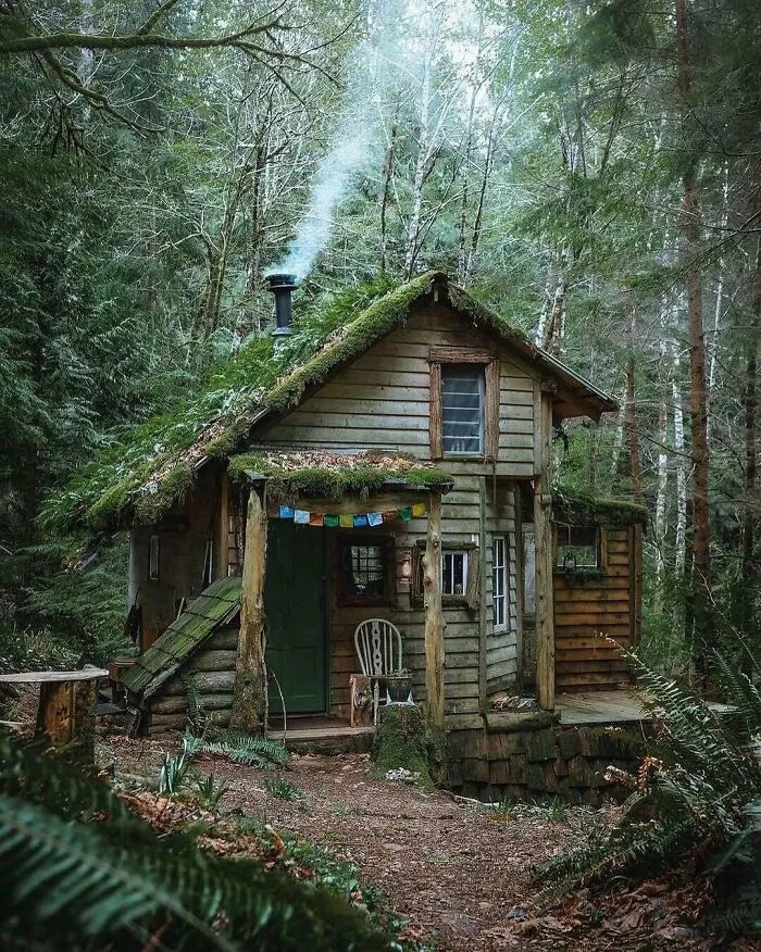 Cozy Cabin In The Washington Woods