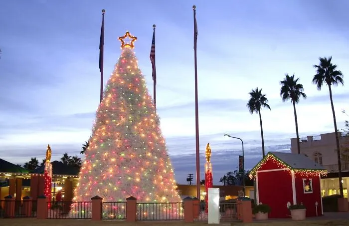 Christmas tree adorned with colorful lights in a Arizona city setting, surrounded by flags and palm trees.