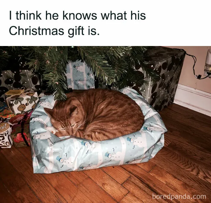 “It Knows” 