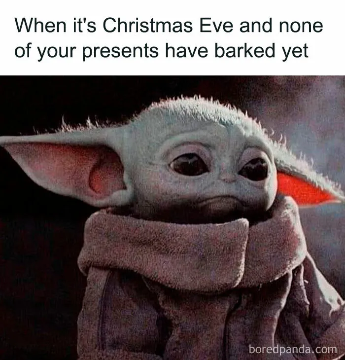 “None of Your Present Have Barked Yet”