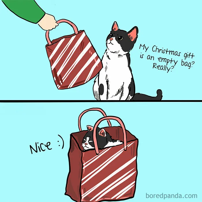 “An Empty Bag?”