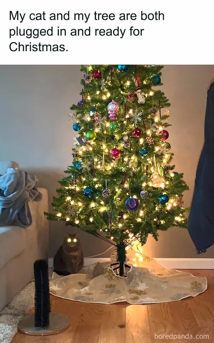 “Ready for Christmas”
