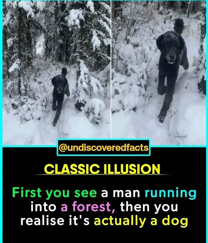 30 Strange But Interesting Facts To Satisfy Your Never-Ending Need For Knowledge