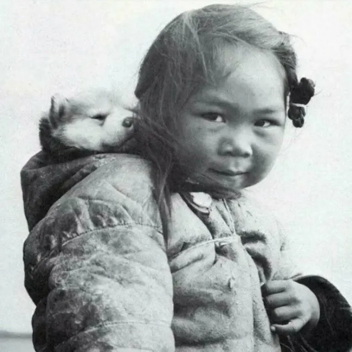 Una joven inuit lleva a su mascota Husky a la espalda. 1920