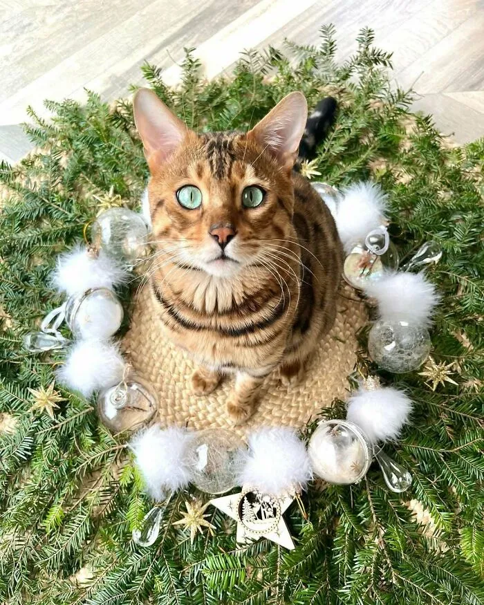 This Time Of The Year