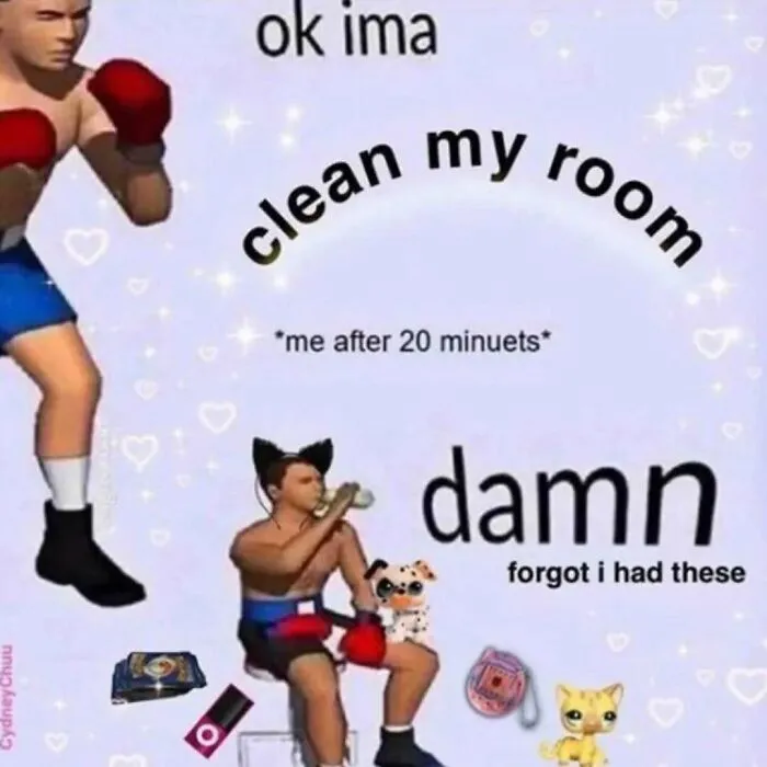 Boxer distracted by toys with text overlay about cleaning, illustrating relatable mental health meme humor.