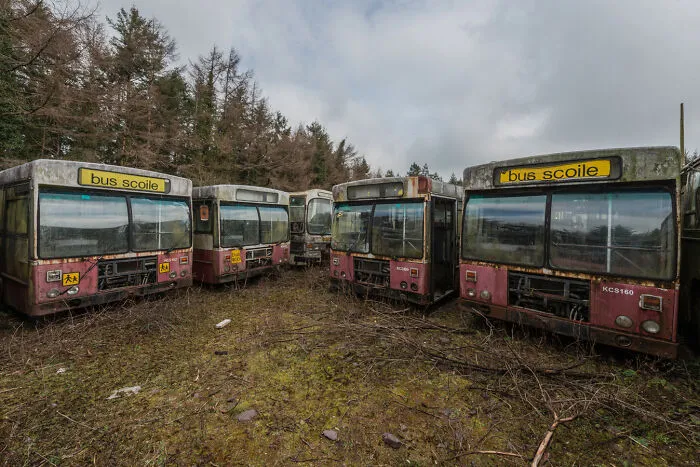 34 Photos That I Took Of Abandoned Buses Meant To Be Used For An Irish Bus Museum