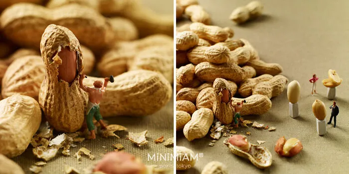 30 Imaginative Tiny Worlds Created By The Artistic Duo Behind Minimiam