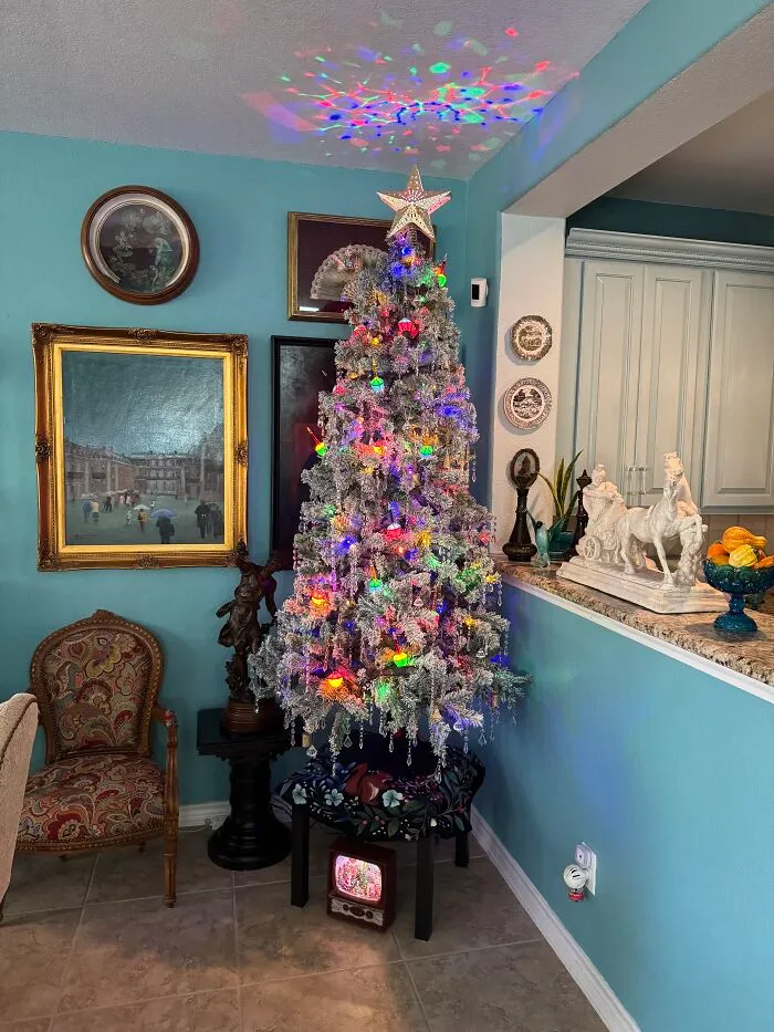 Decided To Do Something Simple This Year.  The Cats Like The Lights