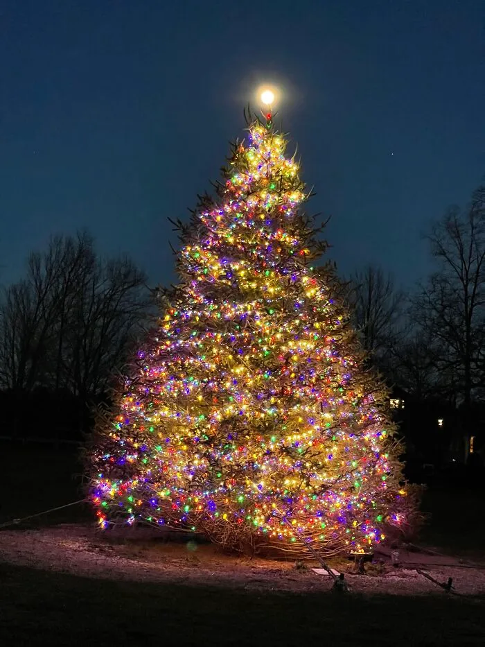 A Few Years Ago.  This Is The Tree In The Eventing Field.  That Isn't A Topper On The Tree, It's Actually A Full Moon
