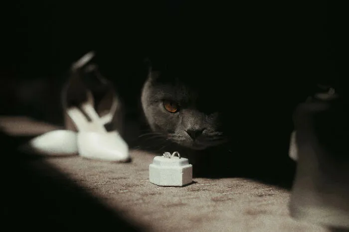 Image By Ionut Lucian Ianos Of Lens Stories Taken In Bucharest, Romania