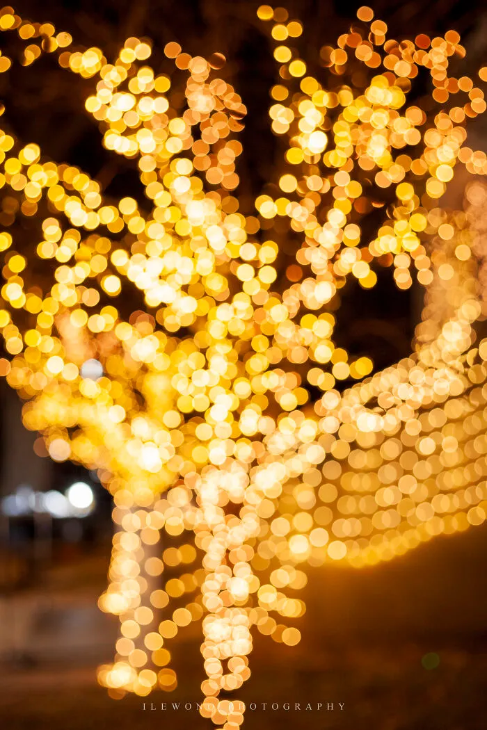 Lessons & Lights: I Photographed The Annual Evening Christmas Service At My Old High School (9 Pics)