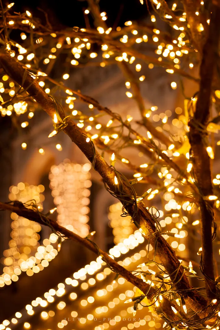 Lessons & Lights: I Photographed The Annual Evening Christmas Service At My Old High School (9 Pics)