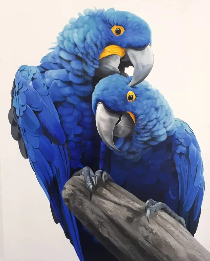 Realistic Bird Paintings By Petterson Silva (28 Pics)