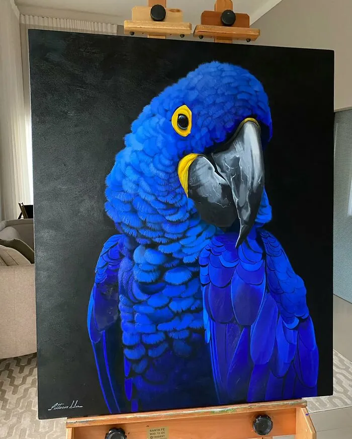 Realistic Bird Paintings By Petterson Silva (28 Pics)