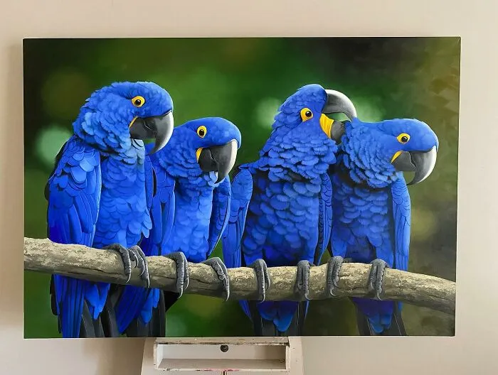 Realistic Bird Paintings By Petterson Silva (28 Pics)