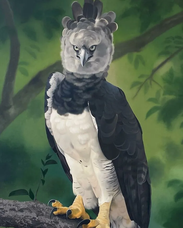 Realistic Bird Paintings By Petterson Silva (28 Pics)