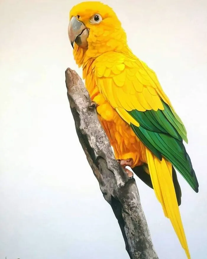 Realistic Bird Paintings By Petterson Silva (28 Pics)