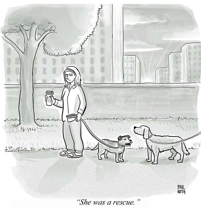 30 Of Paul Noth’s Clever One-Panel Comics That Nail Humor