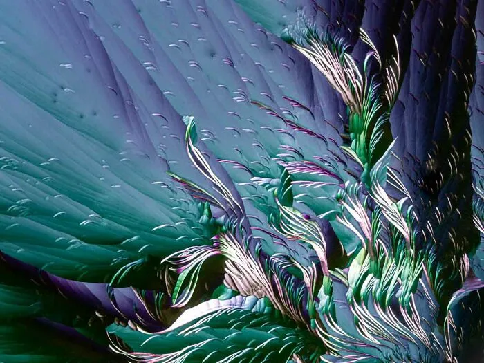 Category Nature Art: Category Winner, "Amino Acids Mimicking Nature" By Dirk Vermaire