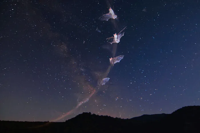 Category Youth: Runner-Up, "Milky Way" By Ismael Domínguez