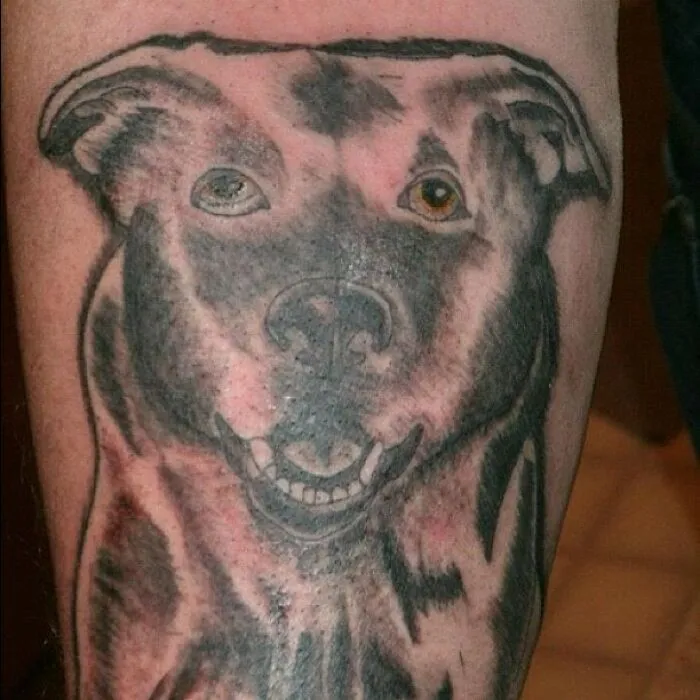 Poorly executed dog tattoo with uneven shading, showcasing a funny worst tattoo fail on someone's arm.