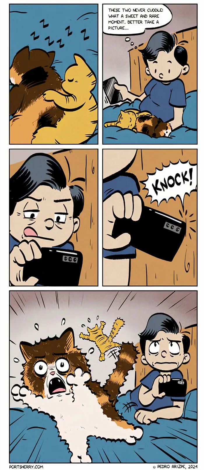 28 Funny "Port Sherry" Comics That Blend Everyday Moments With Absurd Twists (New Pics)
