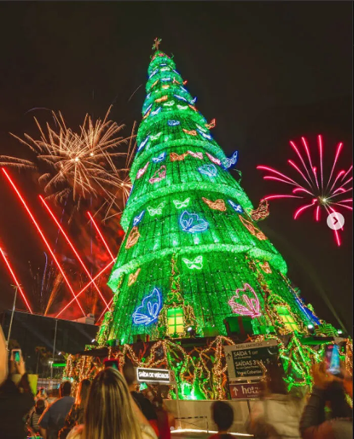 Illuminated Christmas tree with colorful lights and fireworks in a city, capturing a festive celebration scene.