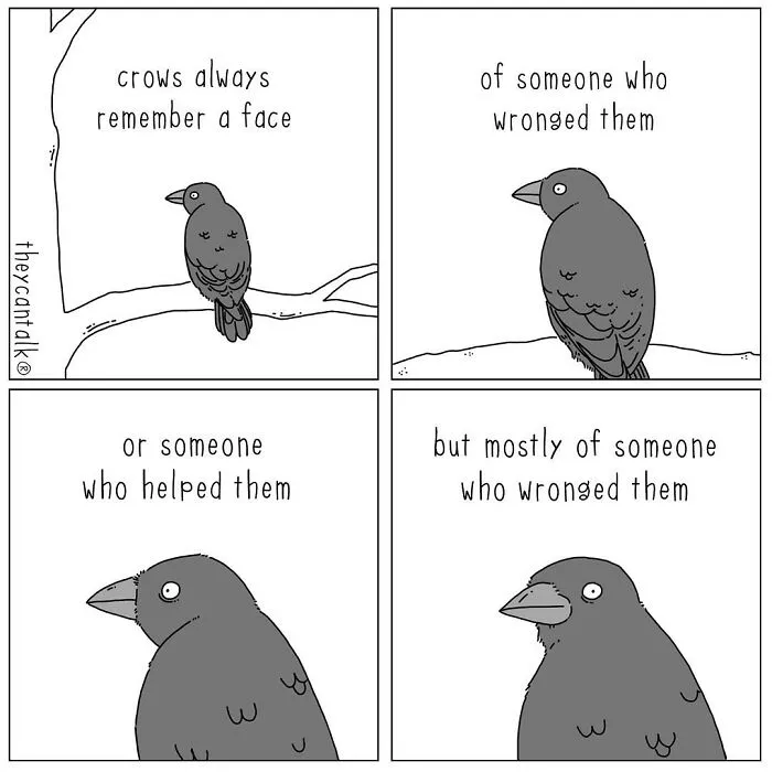 Funny New “They Can Talk” Comics By Jimmy Craig Show Animals With A Voice (21 Pics)