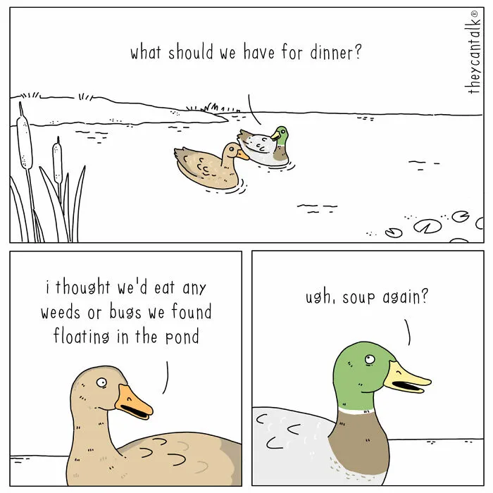 Funny New “They Can Talk” Comics By Jimmy Craig Show Animals With A Voice (21 Pics)