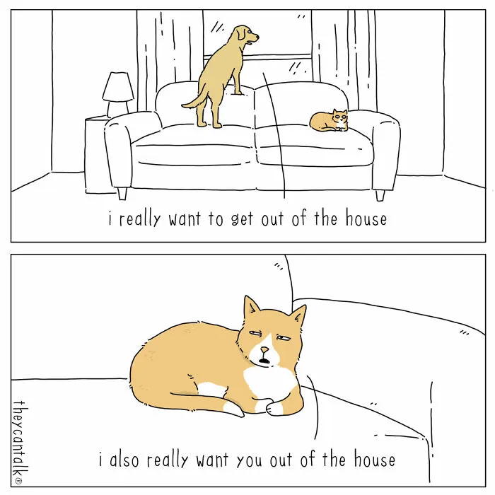 Funny New “They Can Talk” Comics By Jimmy Craig Show Animals With A Voice (21 Pics)