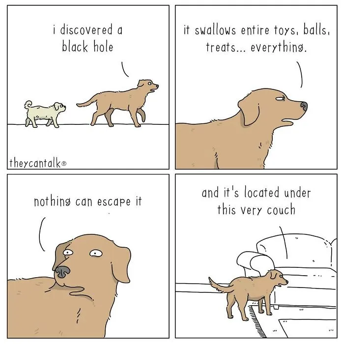 Funny New “They Can Talk” Comics By Jimmy Craig Show Animals With A Voice (21 Pics)