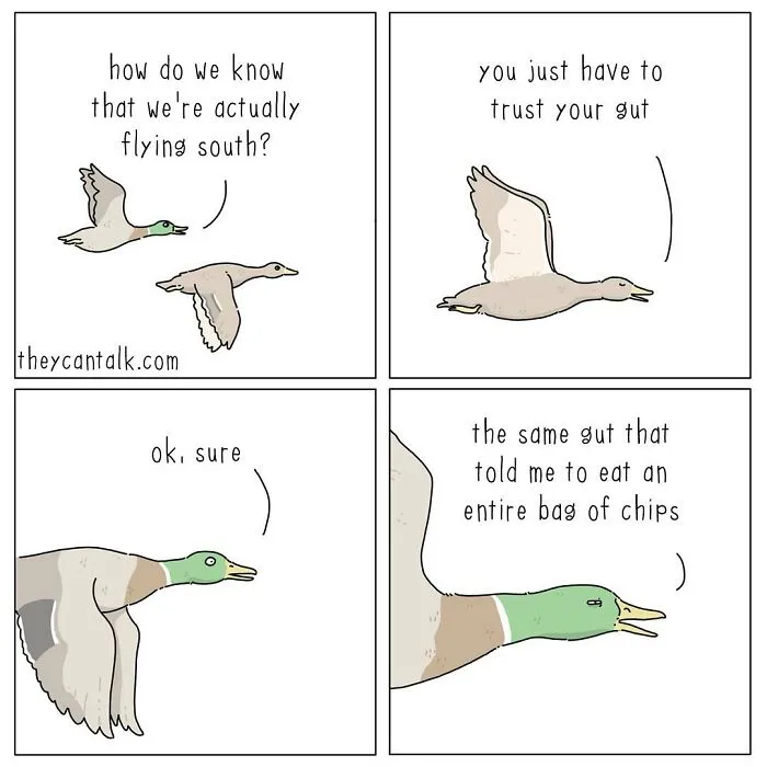 Funny New “They Can Talk” Comics By Jimmy Craig Show Animals With A Voice (21 Pics)