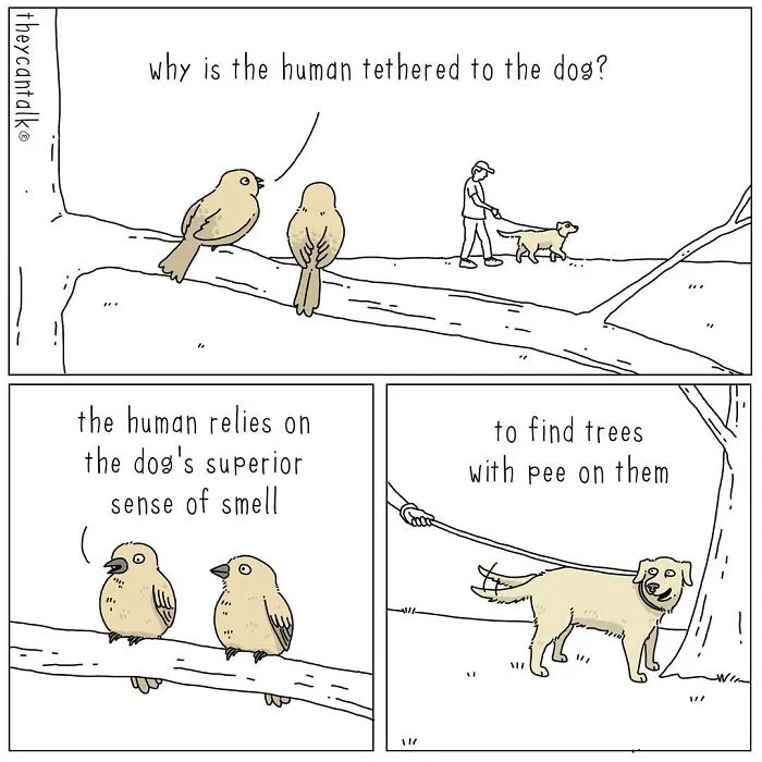 Funny New “They Can Talk” Comics By Jimmy Craig Show Animals With A Voice (21 Pics)