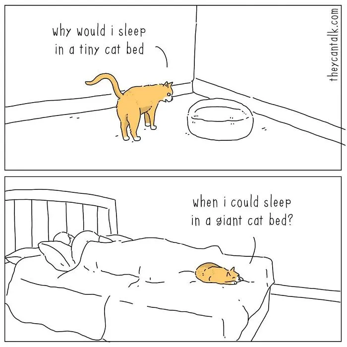 Funny New “They Can Talk” Comics By Jimmy Craig Show Animals With A Voice (21 Pics)