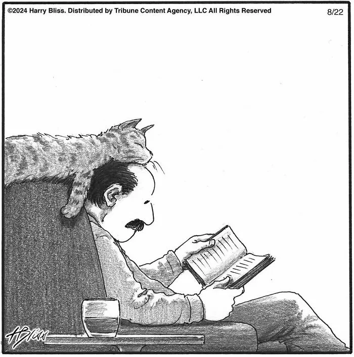 52 One-Panel Comics By Harry Bliss That Might Brighten Up Your Day (New Pics)