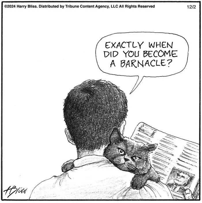 52 One-Panel Comics By Harry Bliss That Might Brighten Up Your Day (New Pics)