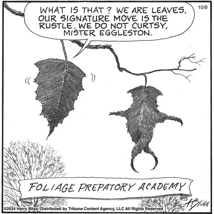 52 One-Panel Comics By Harry Bliss That Might Brighten Up Your Day (New Pics)
