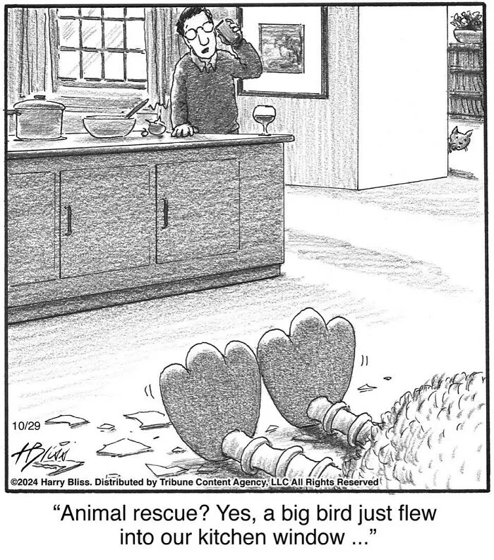 52 One-Panel Comics By Harry Bliss That Might Brighten Up Your Day (New Pics)