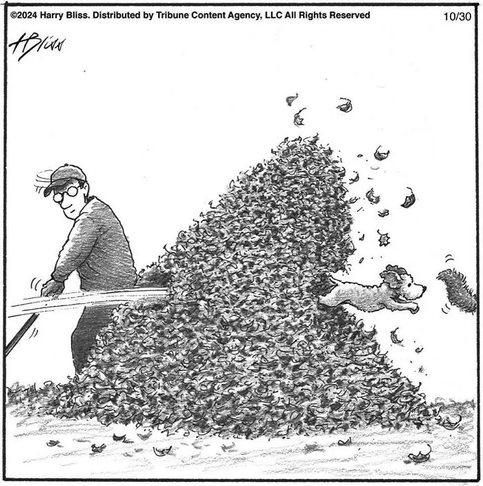 Man leaf-blowing a pile as a dog leaps through, from a humorous one-panel comic by Harry Bliss.