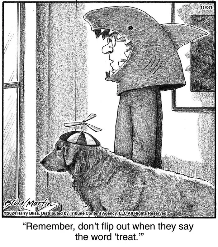 52 One-Panel Comics By Harry Bliss That Might Brighten Up Your Day (New Pics)