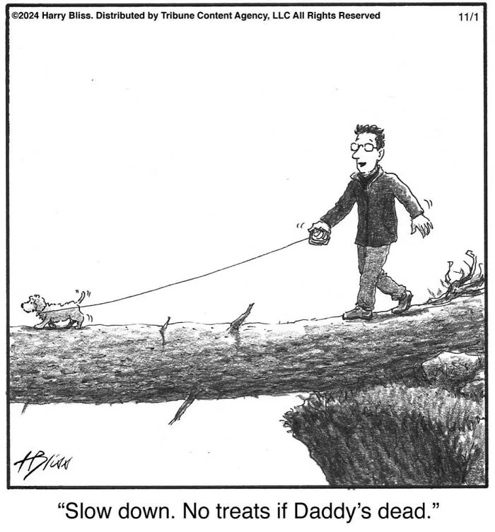 52 One-Panel Comics By Harry Bliss That Might Brighten Up Your Day (New Pics)