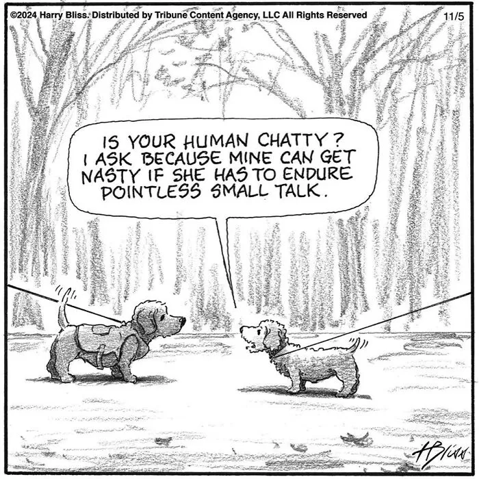 52 One-Panel Comics By Harry Bliss That Might Brighten Up Your Day (New Pics)