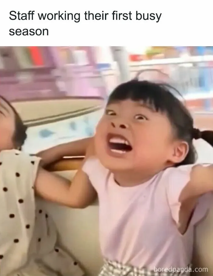 50 Hilarious Accounting Memes That Might Balance Your Stress Levels