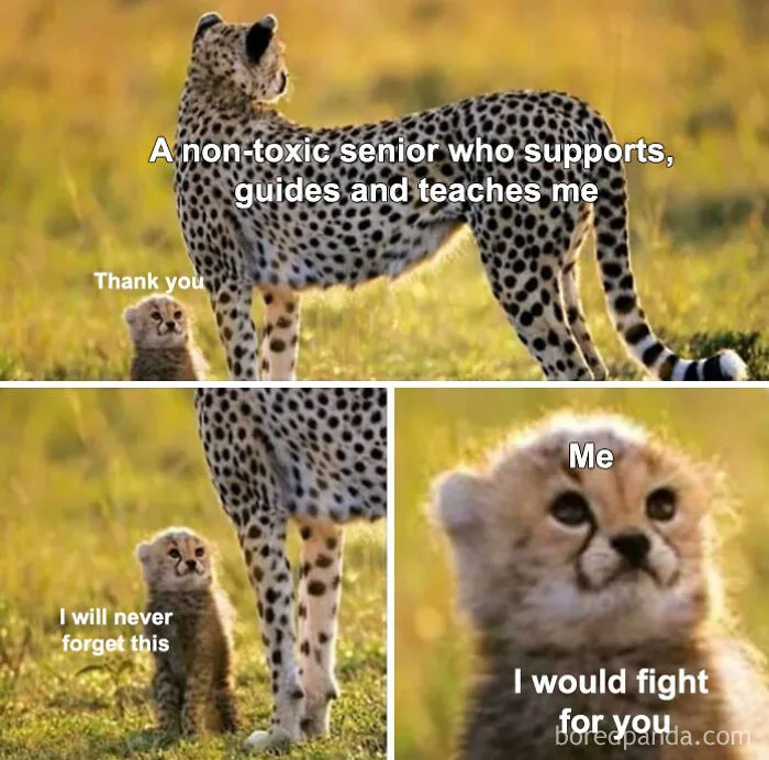 50 Hilarious Accounting Memes That Might Balance Your Stress Levels